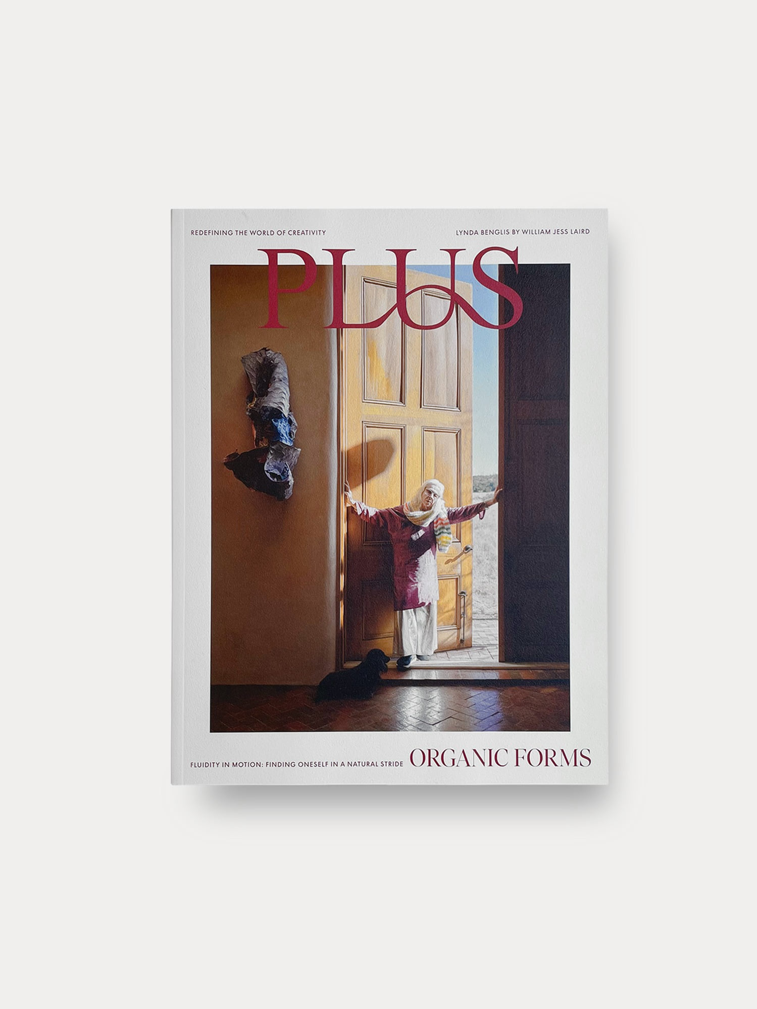 Plus Magazine Issue 6 (Lynda Benglis Cover)